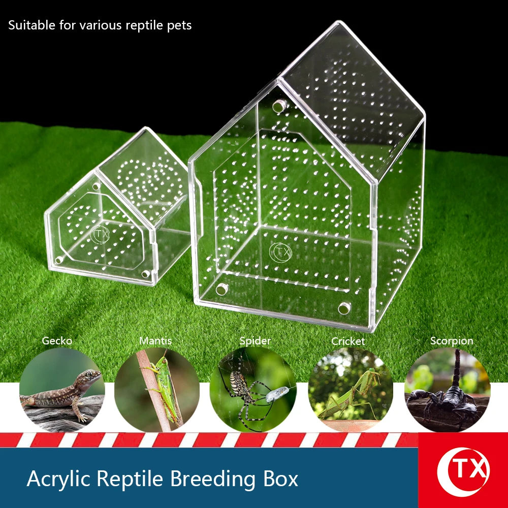 Caja de acrílico transparente para cría de reptiles, apta para geckos, mantis, arañas, grillos y escorpiones.