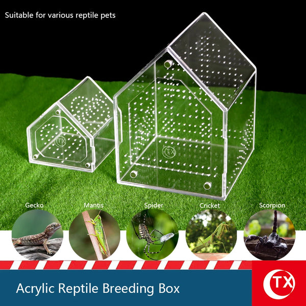 Clear acrylic reptile breeding box suitable for various pets like gecko, mantis, spider, cricket, and scorpion.