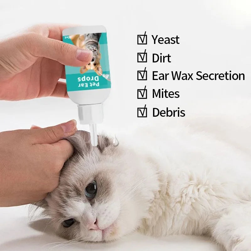 Un chat est nettoyé avec une solution naturelle de nettoyage d'oreille pour animaux contenant des ingrédients comme la levure
