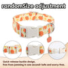 Collar blanco para perro con estampado de Halloween naranja y amarillo, con hebilla de liberación rápida.