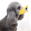 A fluffy gray dog muzzle with a yellow silicone piece is shown against a white background.