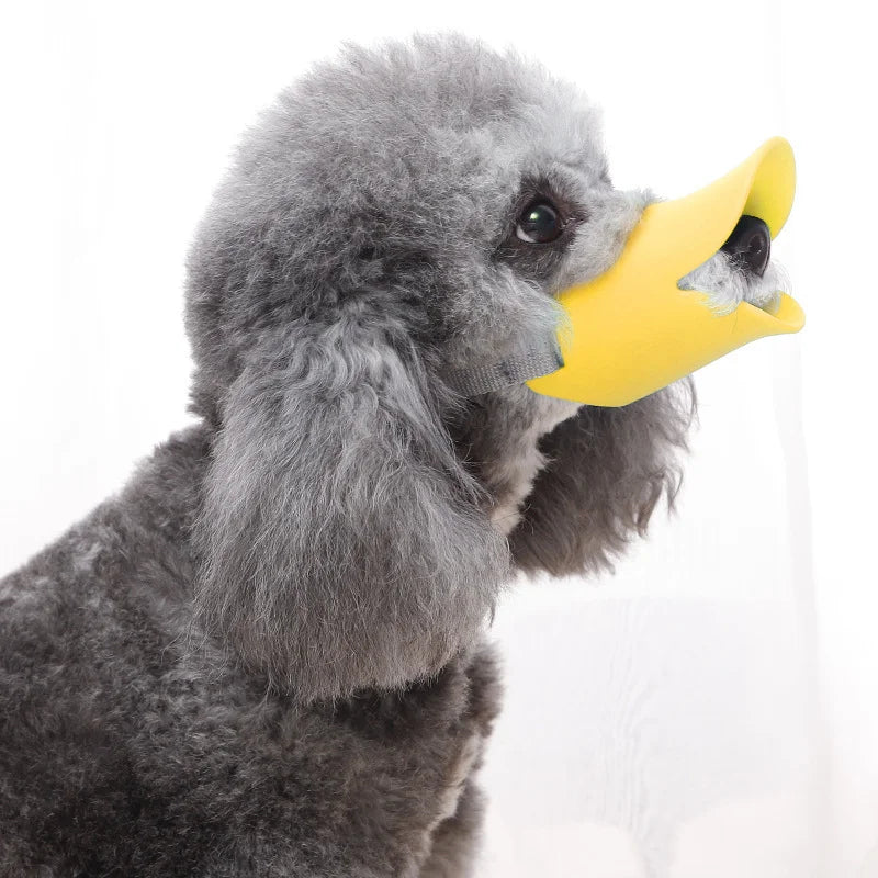 A fluffy gray dog muzzle with a yellow silicone piece is shown against a white background.