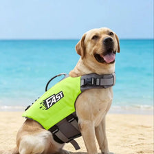 Un golden retriever portant une veste de sauvetage jaune vif, assis sur une plage de sable près de l'eau bleue.