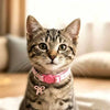 A tabby cat wearing a pink aesthetic collar with a bow pendant looking directly at the camera.