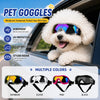 Ein flauschiger weißer Hund trägt stilvolle UV-Schutz-Hundegoggles mit mehreren Farboptionen.