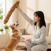 A woman is playing with a brown squeaky dog chew toy while sitting on a light-colored rug indoors.
