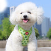 A fluffy white dog wearing a bright green harness outdoors.