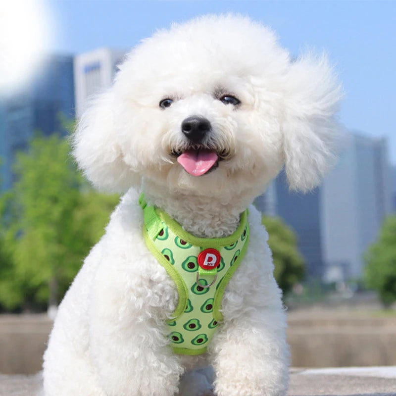 A fluffy white dog wearing a bright green harness outdoors.