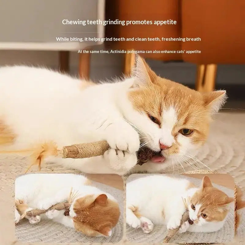 A fluffy orange and white kitten is shown chewing a natural wooden teething stick.