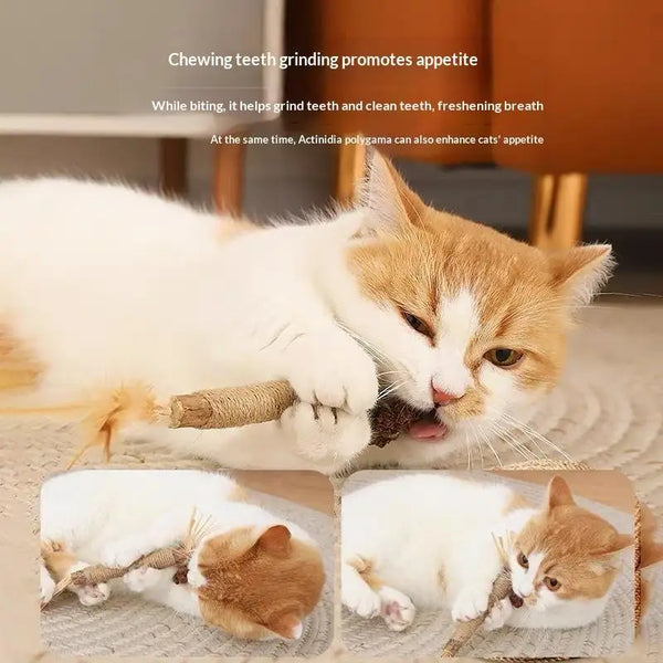 A fluffy orange and white kitten is shown chewing a natural wooden teething stick.