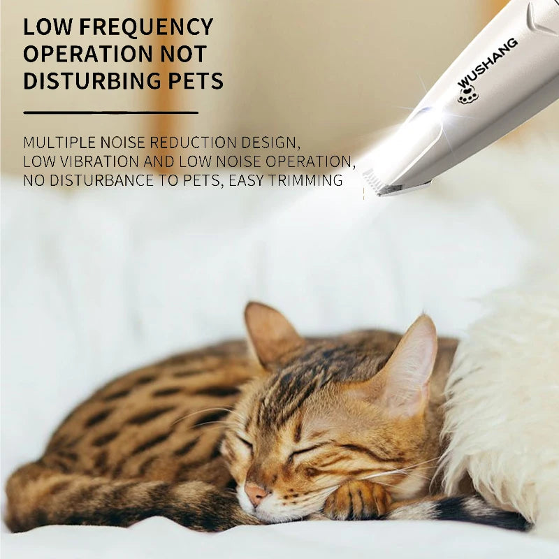 A cat is resting peacefully while a grooming trimmer is used on its fur.