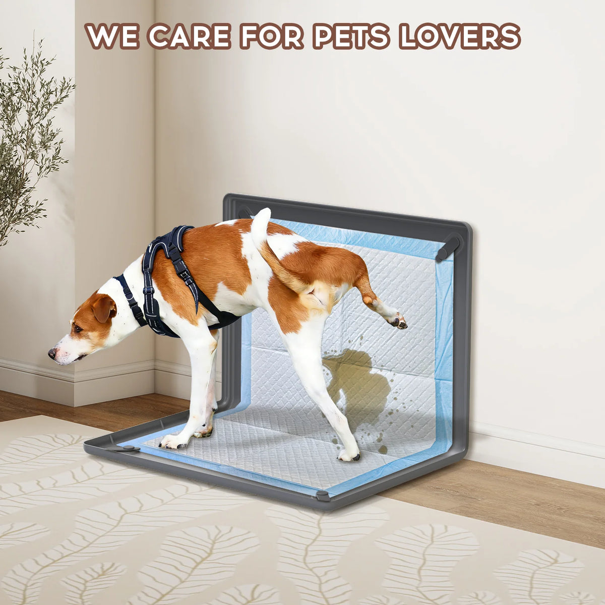 A dog is standing inside a gray pet urine separation pad, demonstrating the product for pet lovers.