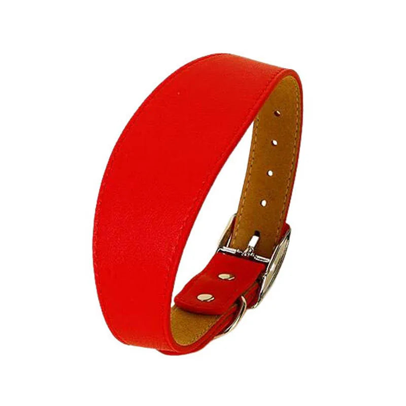 A bright red wide leather dog collar with a brass buckle.