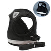 Black adjustable reflective mesh harness for cats and small dogs with a leash