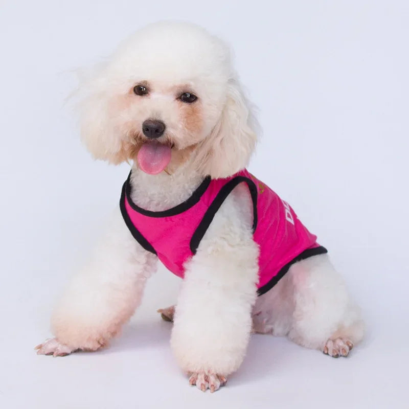 Ein flauschiger weißer Hund trägt ein pinkes Netz-Vest für kleine Haustiere.