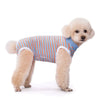 A light tan puppy wearing a striped blue and orange cotton recovery suit.