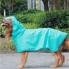A dog wearing a bright turquoise waterproof raincoat outdoors.