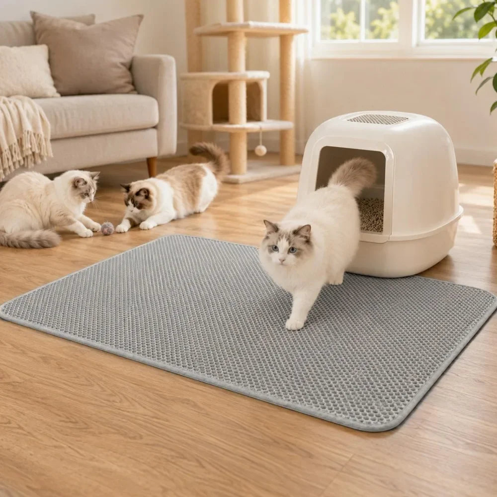 A white cat is standing on a gray honeycomb texture litter mat indoors.