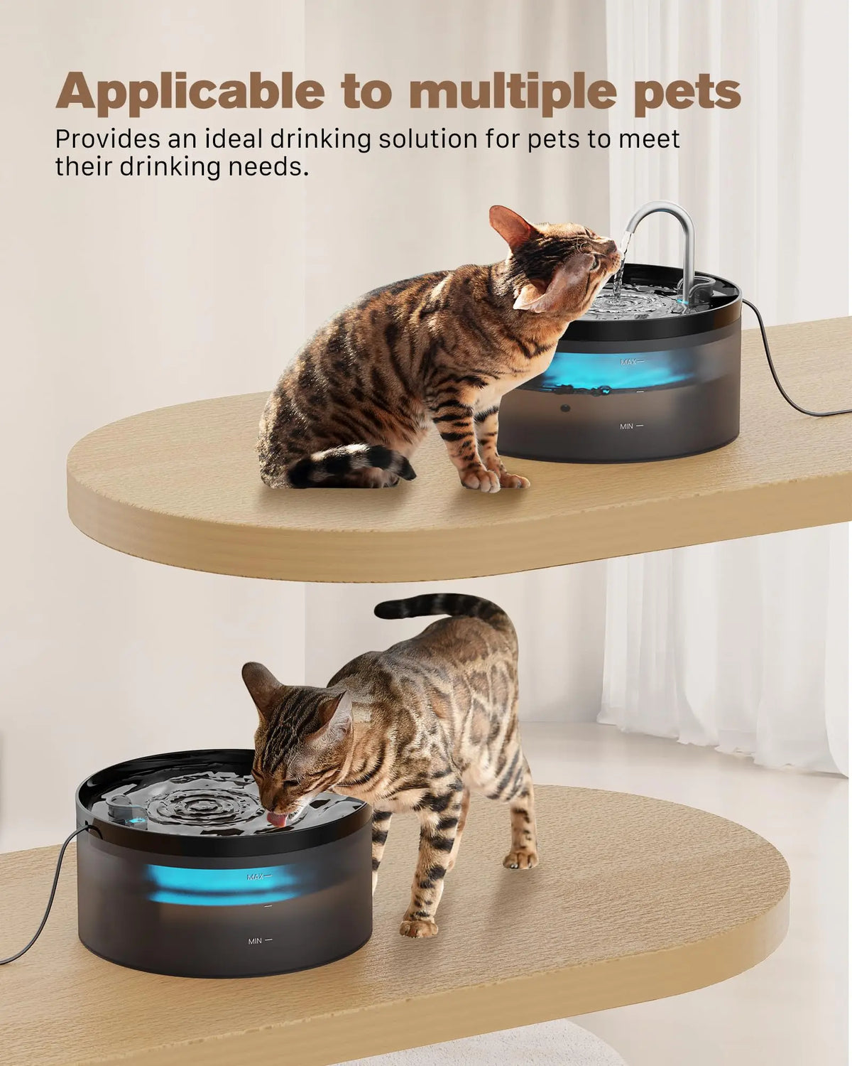 Un chat tigré boit de l'eau d'une fontaine à eau automatique sur une surface en bois.