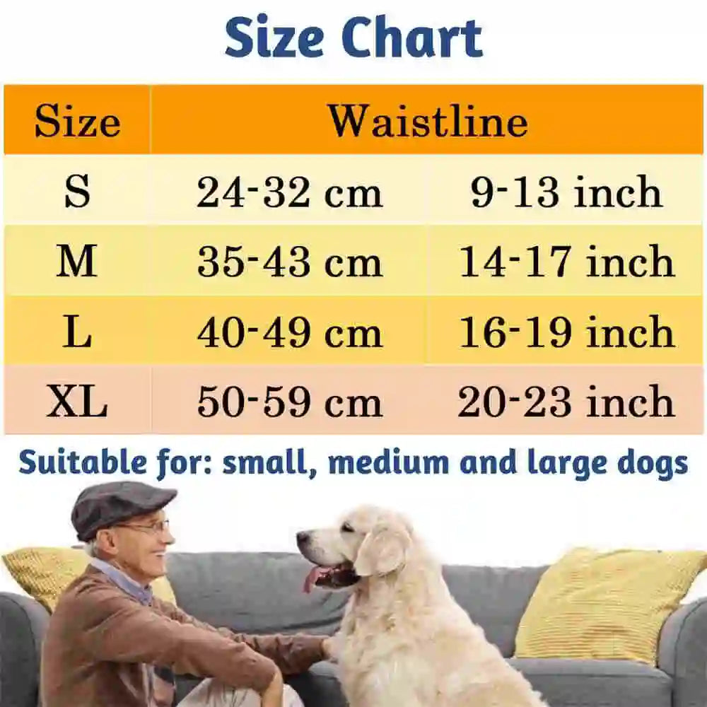 A size chart showing dimensions for small, medium, and large dogs.