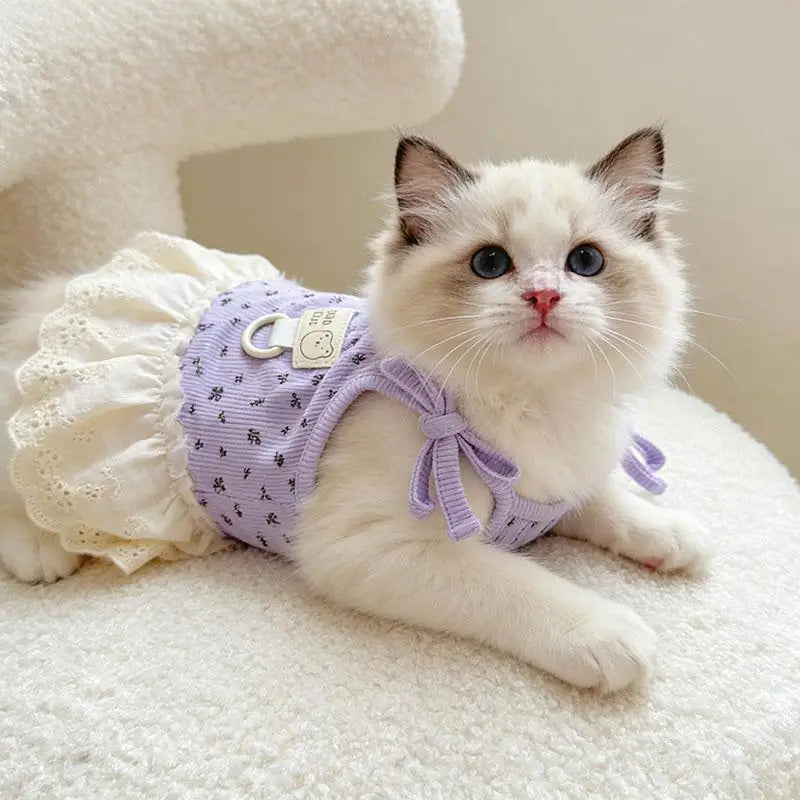 A fluffy white and light blue cat wearing a purple floral print dress with thin straps.