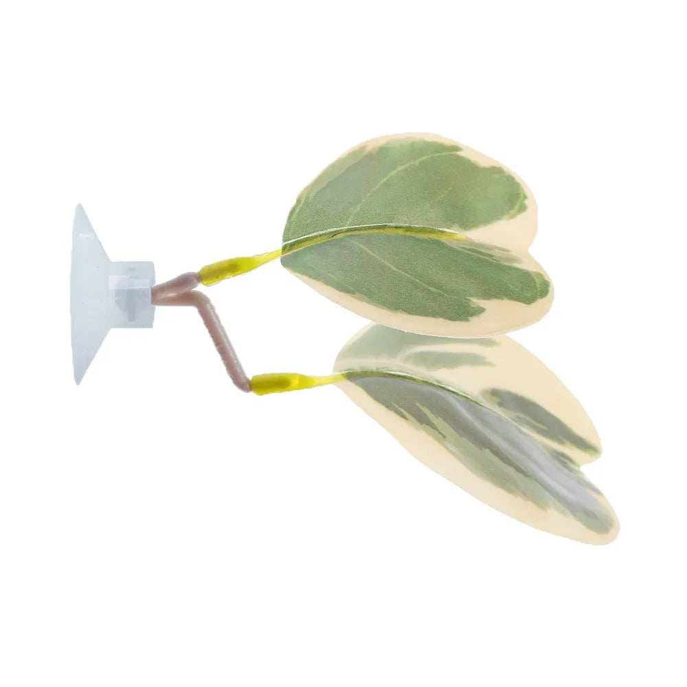 Feuilles de lotus simulées utilisées comme décoration ou accessoires pour l'aquarium d'un poisson Betta