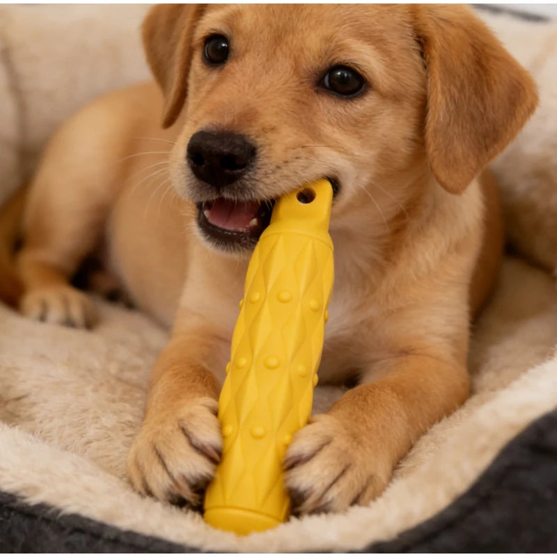 A light brown dog is holding a yellow chew toy for large dogs on a soft, beige blanket.