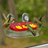 A hummingbird is feeding from a red saucer containing yellow flowers in a clear suction cup feeder.