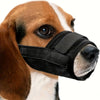 Un perro usando una máscara de boca negra y resistente para controlar picoteos y ladridos.