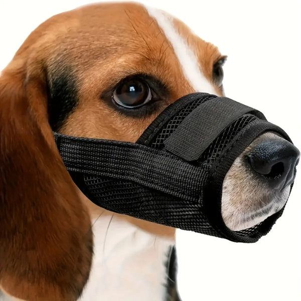 A dog wearing a black durable mouth mask designed for controlling snacking and barking.