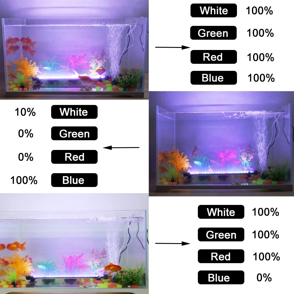Demostración de iluminación LED de acuario sumergible cambiando de color blanco, verde, rojo y azul.