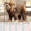 A small dog wearing a leopard print pajama coat standing indoors.