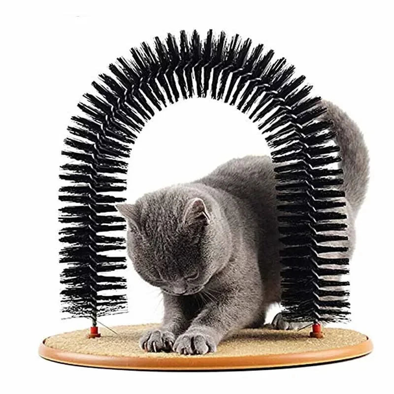 Eine graue Katze ruht in einer bogenförmigen Bürste zum Massieren.