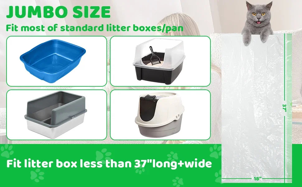 Jumbo Katzenstreubox-Liner und eine graue Tabby-Katze auf einer weißen Oberfläche.