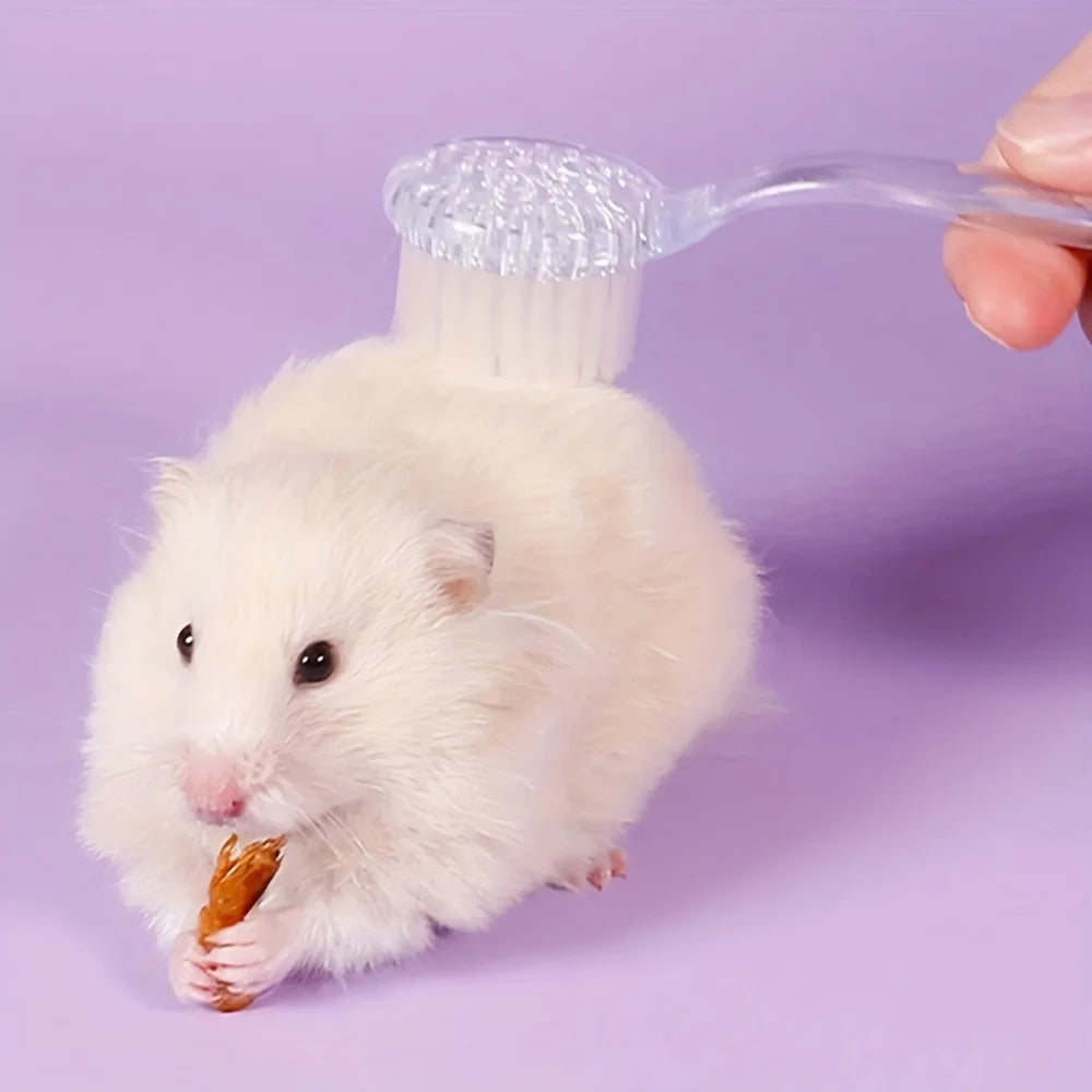Ein weißer Hamster isst etwas, während eine Hand eine weiche Borstenbürste hält.