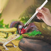 A hand uses stainless steel reptile feeding tongs with rubber tips to feed a lizard.