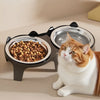 An orange and white cat looks up at a stainless steel double pet bowl with an anti-tip design.