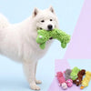 A white dog is holding a green squeaky plush chew toy.