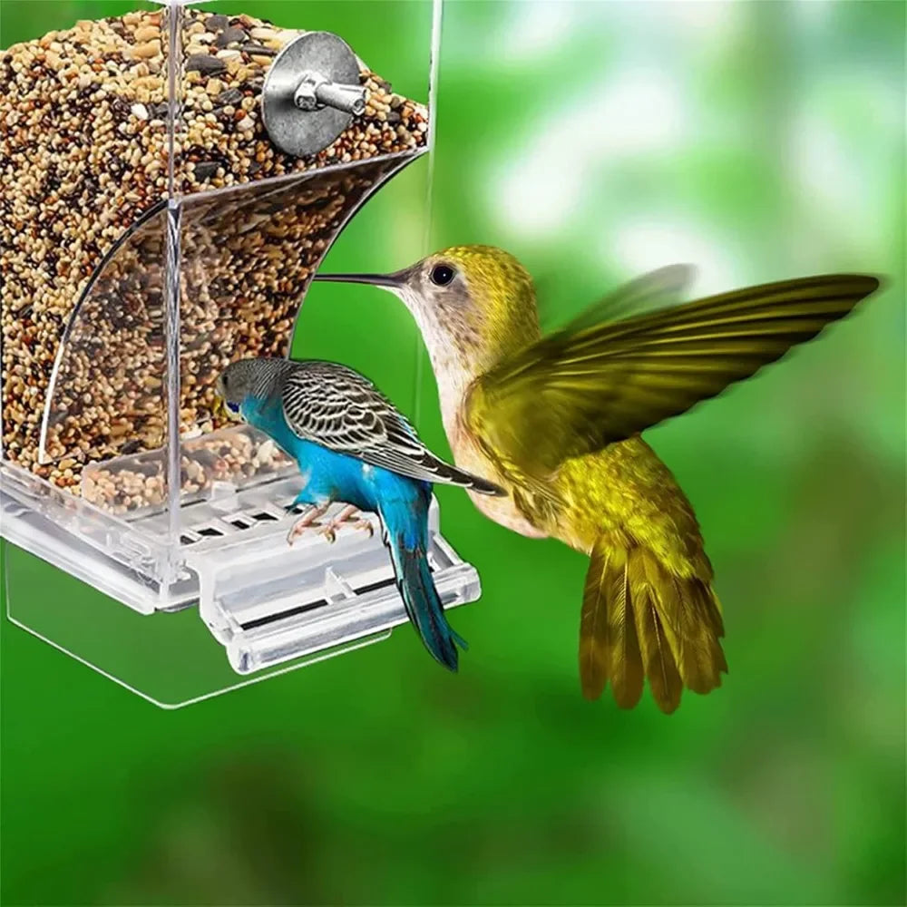 Mangeoire à oiseaux automatique avec graines, modèle perruche jaune et bleue.