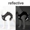 A black reflective mesh harness for cats and small dogs shown on a white background.