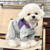 Un chien blanc portant une combinaison imperméable gris clair assis sur une chaise en bois.