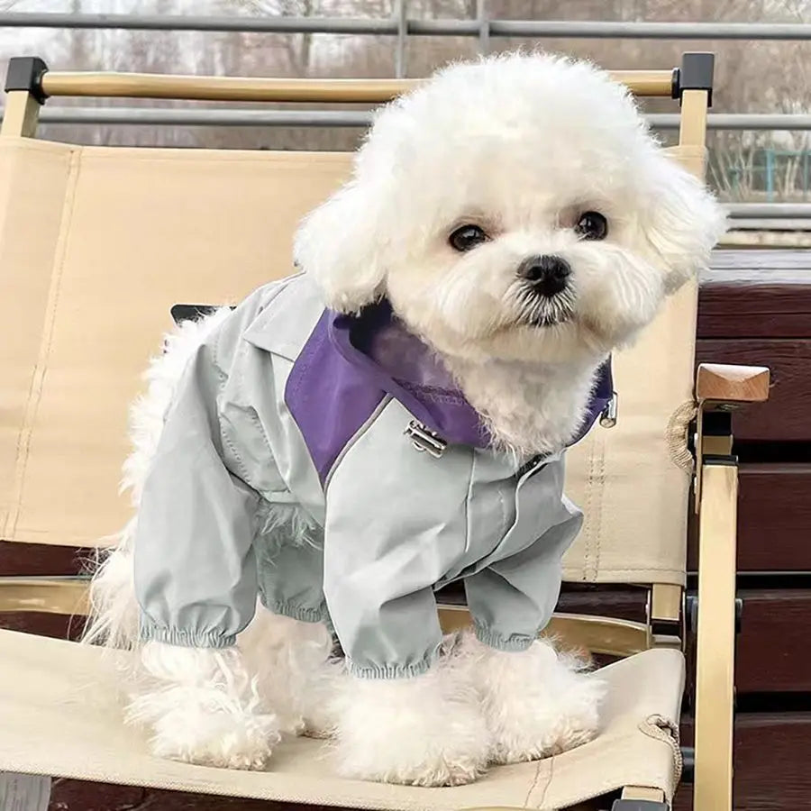 Un chien blanc portant une combinaison imperméable gris clair assis sur une chaise en bois.