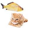 A small, yellow and brown electric floppy fish toy next to a domestic orange tabby kitten.
