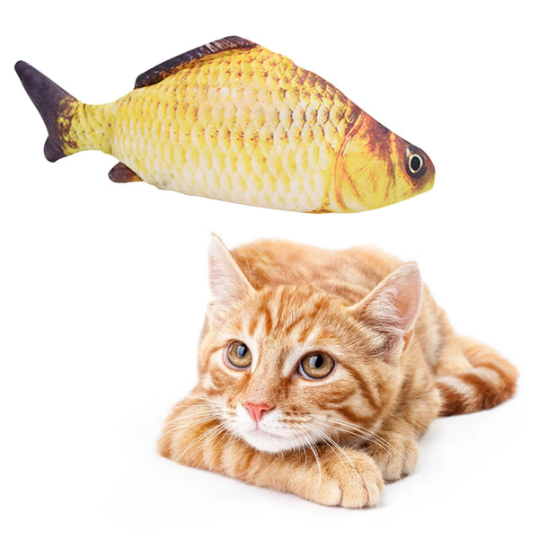 A small, yellow and brown electric floppy fish toy next to a domestic orange tabby kitten.
