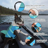 A dog wearing a blue life jacket with a D-ring and clip buckles is shown on the water.
