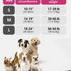 A variety of dogs of different sizes and breeds are shown in a row against a pink background.