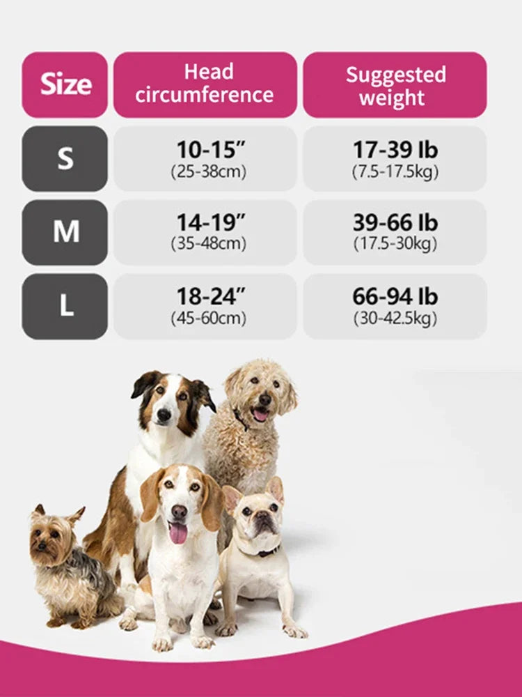 A variety of dogs of different sizes and breeds are shown in a row against a pink background.
