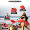 Un chien doré portant une gilet de sauvetage rouge et gris conçu pour la sécurité et le remorquage, vu de profil.