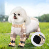 A white poodle wearing beige reflective pet strolling pants outdoors.