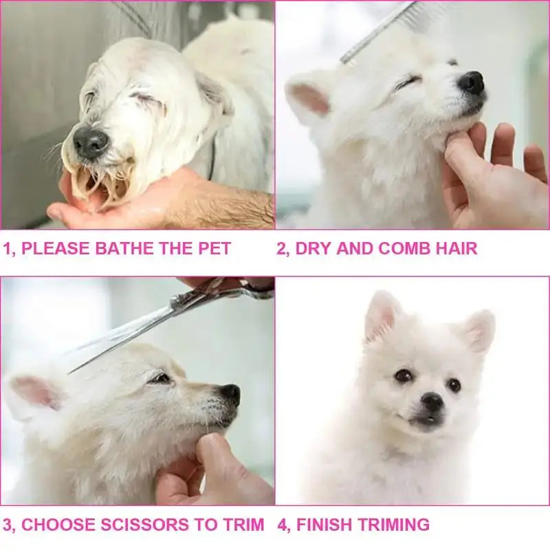 A four-step guide showing how to bathe, dry and comb hair, trim, and finish trimming a white dog.